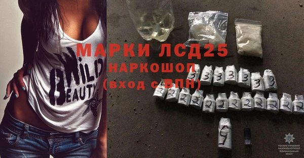 apvp Аркадак